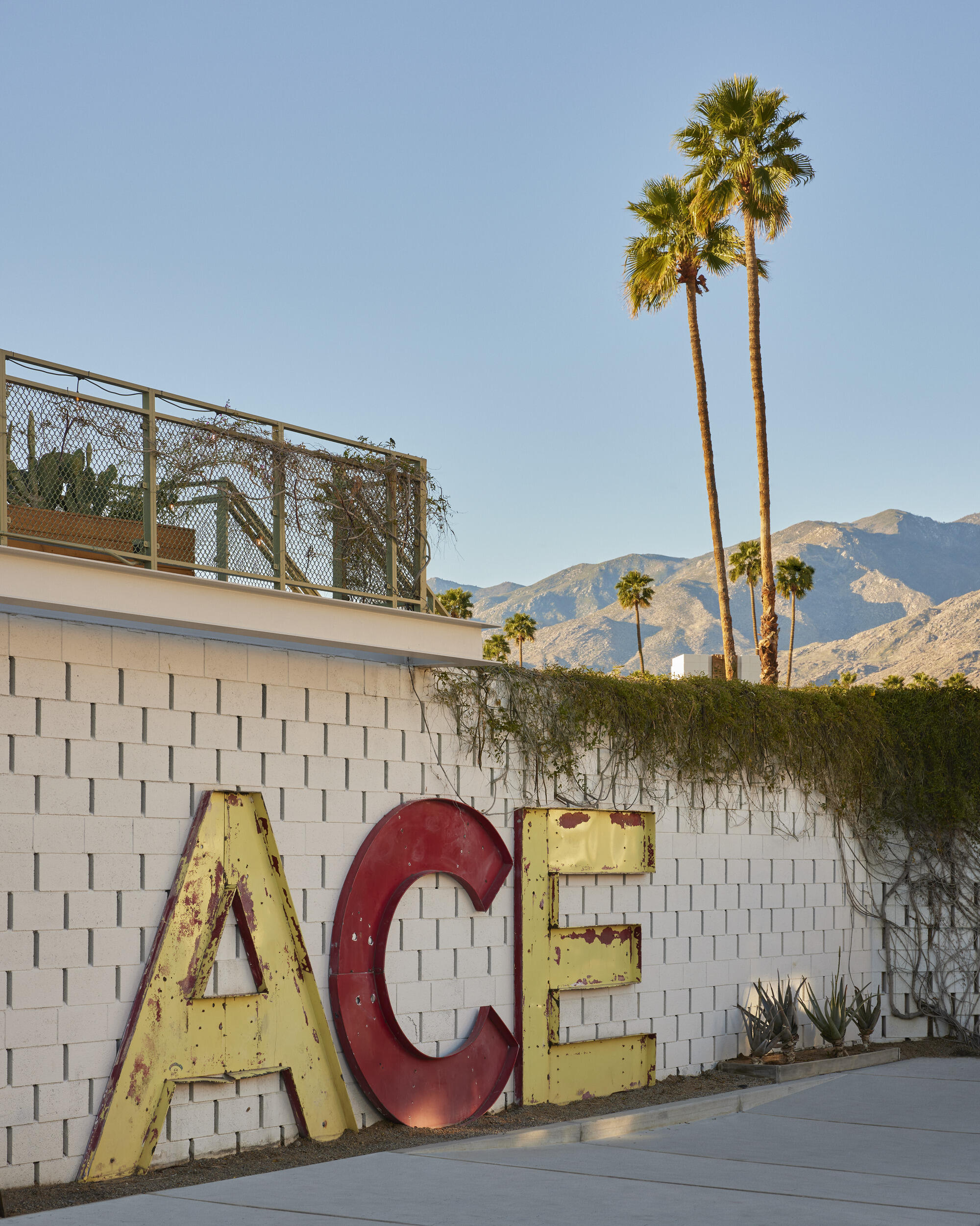 Ace Hotel & Swim Club